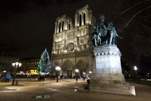 notre dame ace 1 sm.jpg